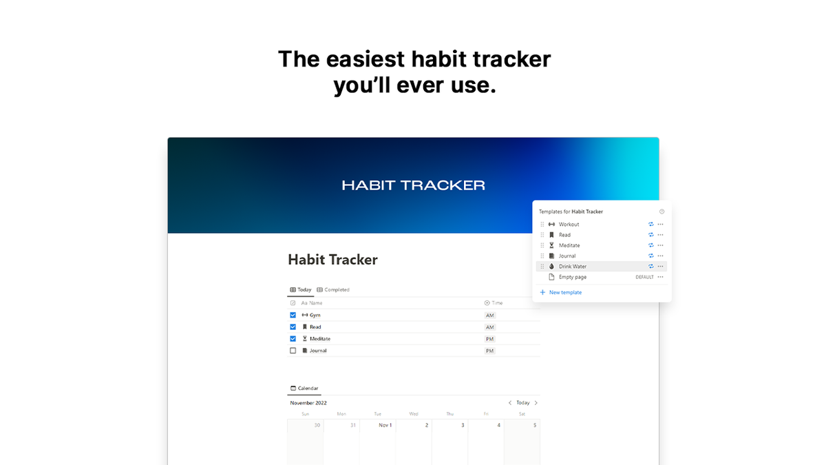 Matt Bio Habit Tracker Notion Template Productivity Daily Organizer